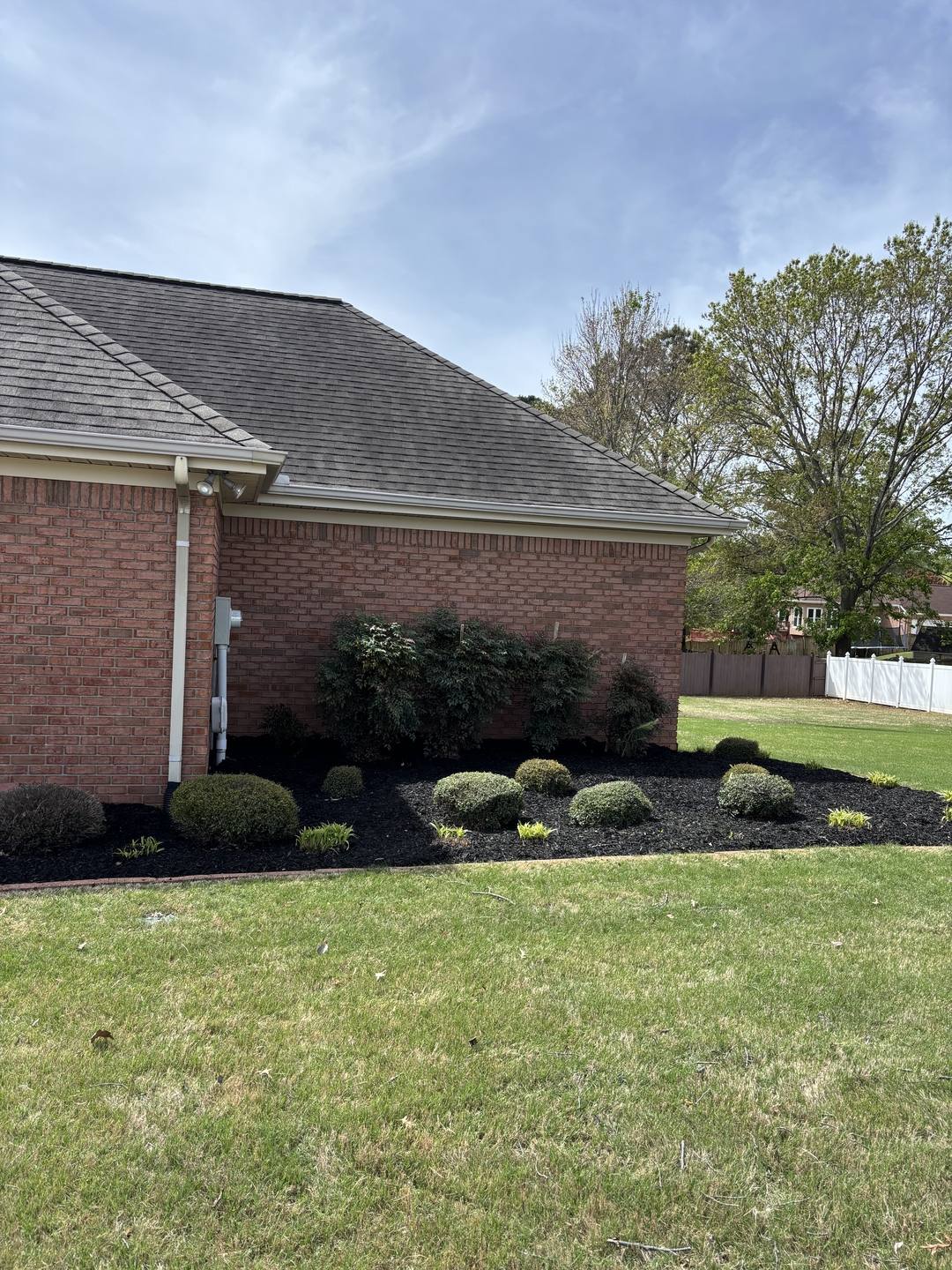Corner of a brick home with a newly installed black mulch bed, boxwoods, and small plantings