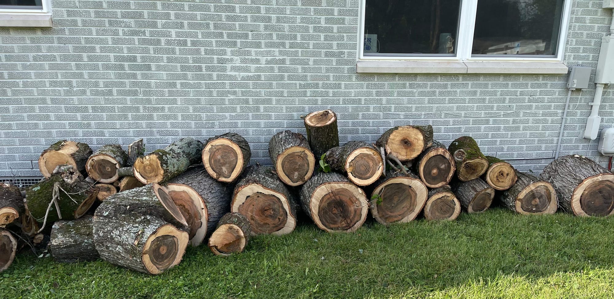 Row of freshly cut hardwood logs stacked along a brick house wall on a mowed lawn